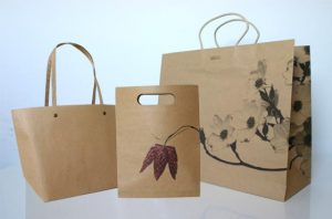 Three kraft bags are displayed. These brown paper bags vary in size and handle style: the left bag has thin handles, the middle features a cut-out handle with red leaves, and the right boasts a floral design with curved handles.