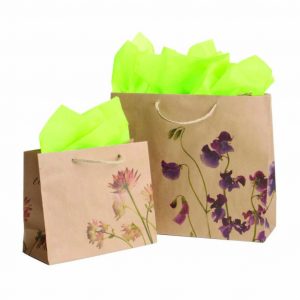 new eco-friendly packaging, custom printing, kraft bags, flipped kraft, kraft shopping bags, kraft shopping bags, eco friendly, fsc certified, fsc certified packaging, reusable packaging, recyclable packaging, new year new packaging, eco friendly packaging