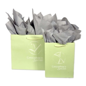 Two light green shopping bags with the Canyon Ranch SpaClub logo, epitomizing elegant spa packaging, are filled with gray tissue paper. They stand side by side, showcasing their gold handles.