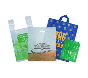 A variety of shopping bags, perhaps soon to be a rarity due to bag ban laws, including a green Fresco bag, a brown Rocky's Chocolate Factory bag, a blue and yellow high fashion bag, and a small green bag with white symbols, are displayed upright.
