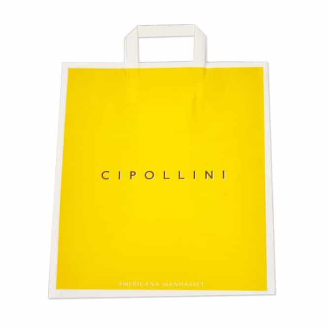 Custom Logo Plastic Shopping Bags with Handle — M2 Retail
