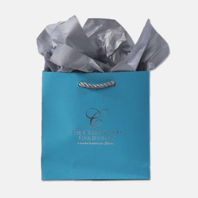 paper shopping bag with thick tapestry handle
