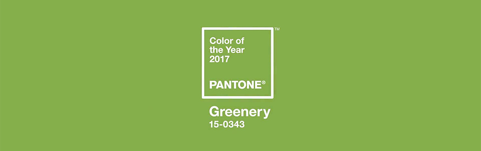 You are currently viewing Greenery: 2017 Color Of The Year