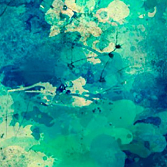 Shopping Bag Rain Covers Prime Line Packaging