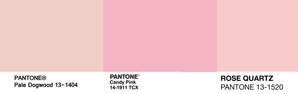 You are currently viewing What’s Trending: Millennial Pink