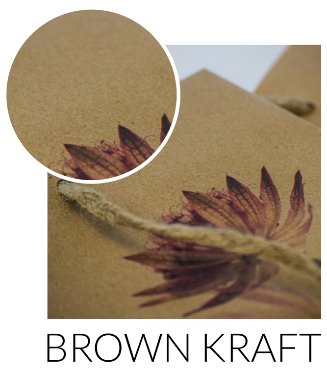 Brown Kraft Paper Option