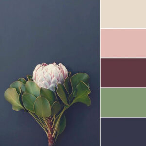 2018-color-palettes
