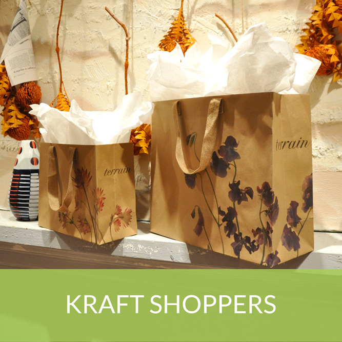 Kraft Shopping Bag 1