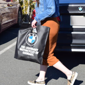 auto dealers, car packaging, auto dealer packaging, specialty car dealership packaging, reusable shopping bags, pvc, pvc accessories sleeves, reusable accessory packaging, reusable packaging