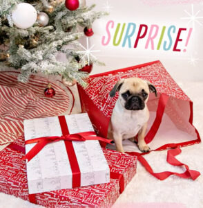 Holiday 2020, holiday packaging 2020, 2020 Holiday, winter whites, buffalo plaid, emerald, 2020 trendy holiday packaging