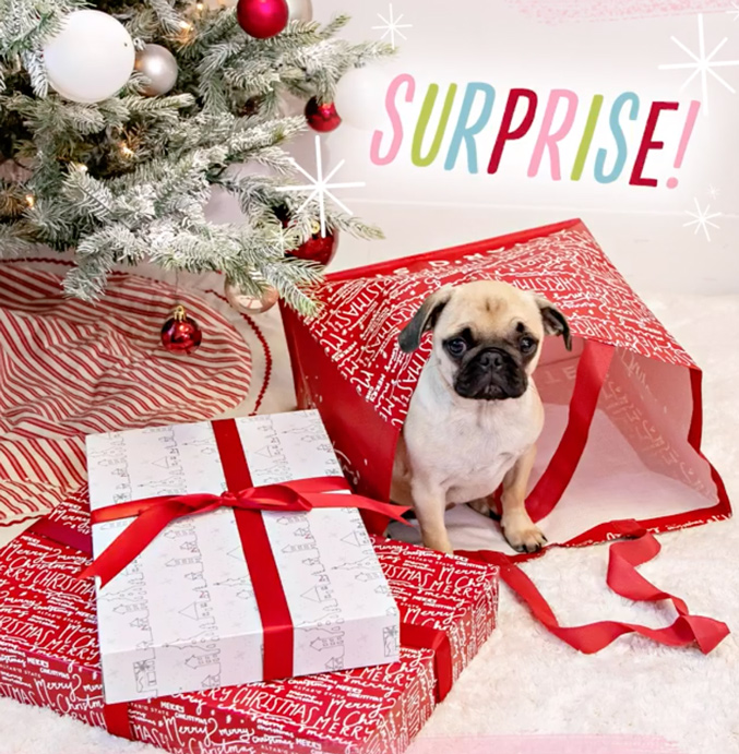 Holiday 2020, holiday packaging 2020, 2020 Holiday, winter whites, buffalo plaid, emerald, 2020 trendy holiday packaging