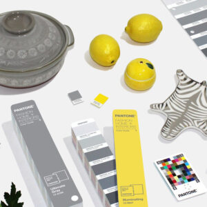 Pantone 2021 Colors of the Year