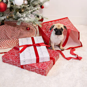 holiday 2021 season, 2021 holiday packaging, 2021 holiday packaging trends, seasonal packaging, trendy seasonal packaging, custom holiday packaging, sustainable materials, pastels, neutral color palette, holiday gift boxes, holiday shopping bags