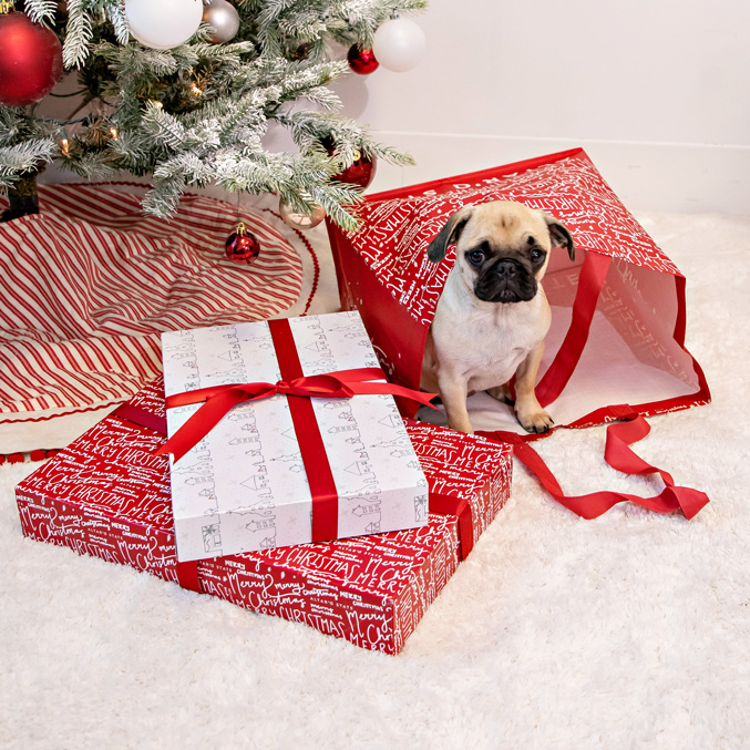 holiday 2021 season, 2021 holiday packaging, 2021 holiday packaging trends, seasonal packaging, trendy seasonal packaging, custom holiday packaging, sustainable materials, pastels, neutral color palette, holiday gift boxes, holiday shopping bags