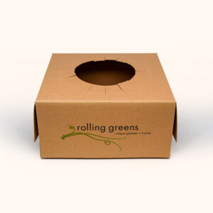 custom folding boxes, display boxes, auto-lock boxes, custom event boxes, custom favor boxes, custom folding boxes for business, kraft paper boxes, eco-friendly packaging, product display boxes