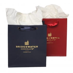 euro tote, branded euro tote bags, euro tote bags, custom branded euro totes, matte laminated euro totes, euro tote shopping bags, paper shopping bags, shopping bag designs, shopping bag trends, custom euro tote bags, kraft euro tote shopping bags, euro tote bag designs,