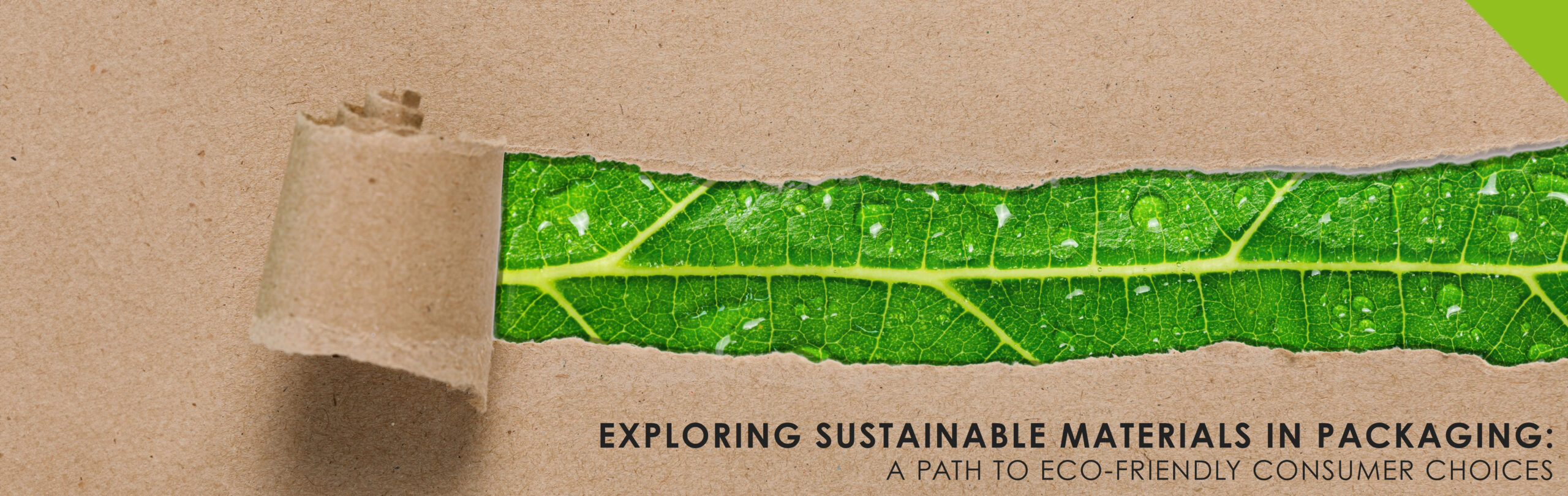 Read more about the article Exploring Sustainable Materials in Packaging